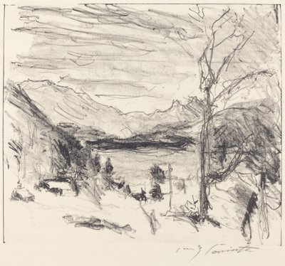 霧の中のヴァルヘンゼー 霧の中のヴァルヘンゼー、1920年。 作： Lovis Corinth