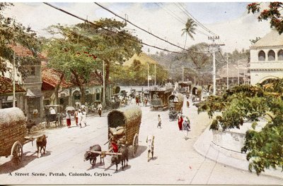 A Street Scene、Pettah、Colombo、Ceylon、c.1900-20（手描きの写真） 作： Ltd. Ceylon Plâté