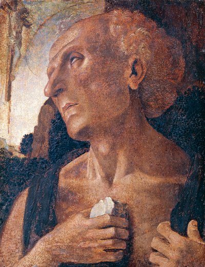 ルカ・シニョレッリ作とされる聖ジェローム（1441年頃、1450年頃～1523年頃） 作： Luca (attr.to) Signorelli