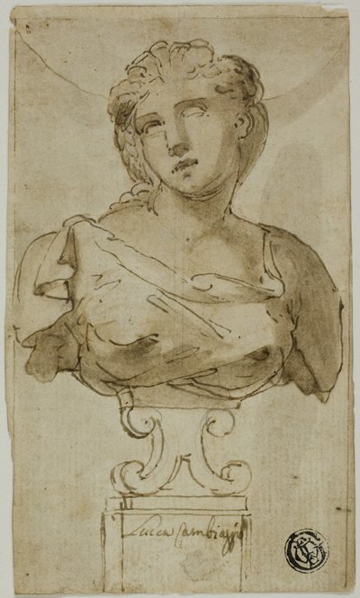 女性のバスト 作： Luca Cambiaso