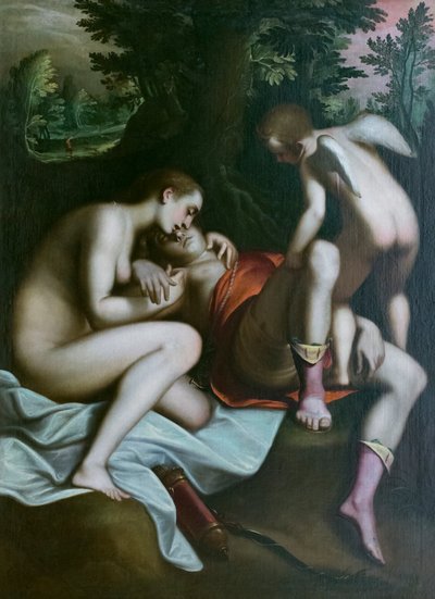 The death of Adonis, before 1585, Luca Cambiaso (oil on canvas)   1459801   ja       japanese Successfully Translated  Original: Colombe - Ground dove (Metriopelia) Translat: Colombe - Ground dove (Metriopelia) 1439333 ja japanese Successfully Translated O 作： Luca Cambiaso
