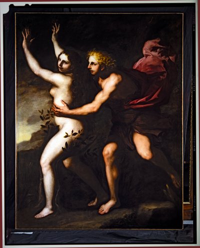 アポロとダフネ（油彩・キャンバス） 作： Luca Giordano