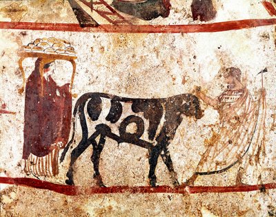 犠牲の祭壇に先導する雄牛。イタリア、パエストゥムのアンドリウオロのネクロポリスから出土した紀元前4世紀のルカニアのフレスコ画。イタリア国立考古学博物館、パエストゥム 作： Lucanian School