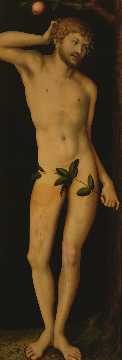アダム、1528年 作： Lucas Cranach the Elder