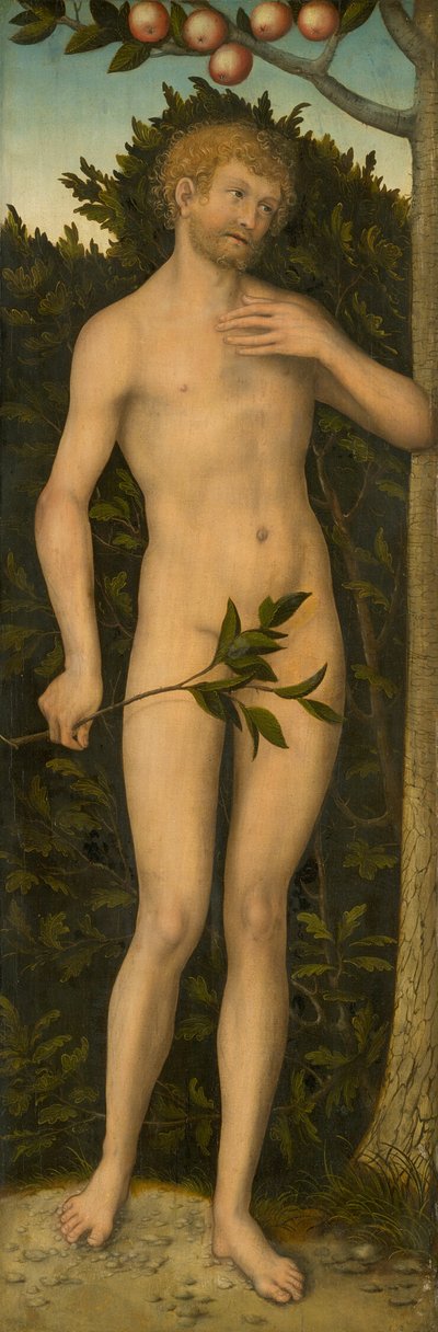 アダム 作： Lucas Cranach the Elder