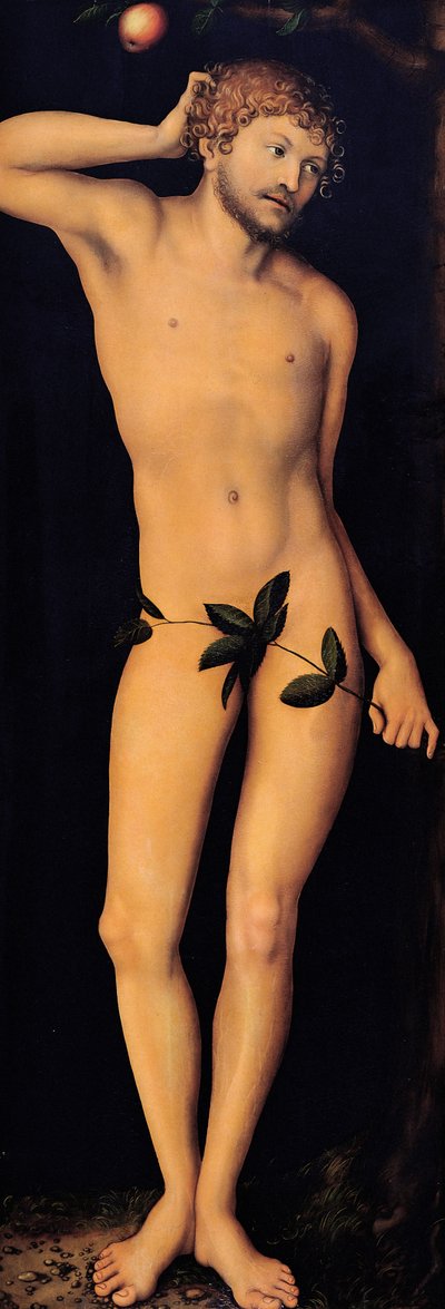 アダム、1528年。 作： Lucas Cranach the Elder