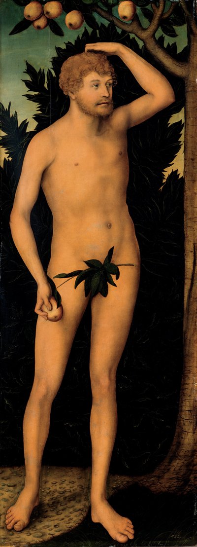 1537年以降のアダム 作： Lucas Cranach the Elder