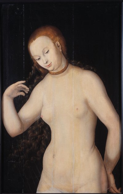 金星、1527年から1531年の間。 作： Lucas Cranach the Elder