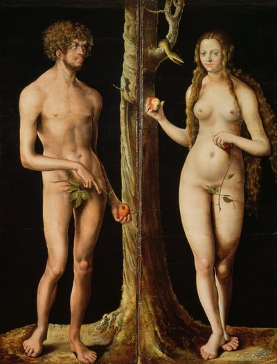 アダムとイヴ」1508～10年頃（石灰に油彩とテンペラ）（159264も参照 作： Lucas the Elder Cranach
