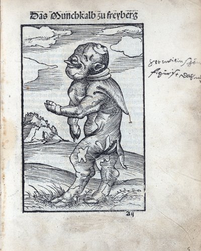 フライベルクの修道士の子牛（Das Moenchskalb zu Freiberg）」、クラナッハ、ルーカス、ザ・エルダー（1472-1553）の作品。ウッドカット 作： Lucas the Elder Cranach