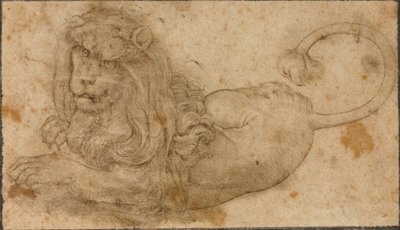 ライオンの研究 作： Lucas the Elder Cranach