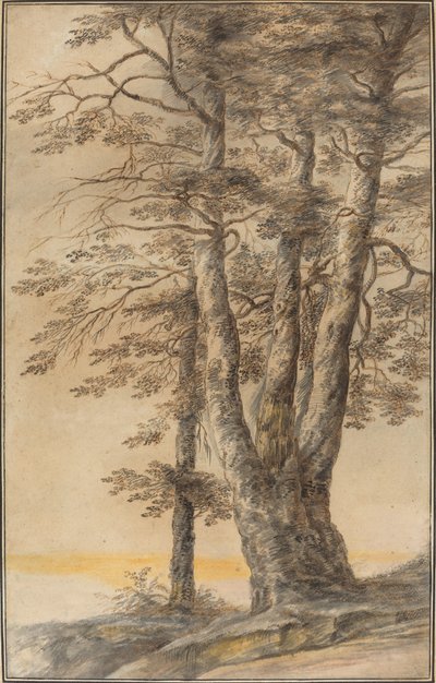 木の研究 作： Lucas van Uden