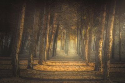  作： 