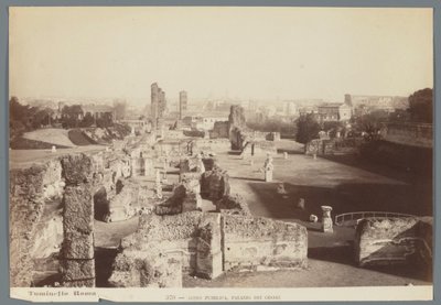 ローマのパラティーノの丘にある皇居の遺跡 Aedes Pubblica、Palazzo dei Cesari (オブジェクトのタイトル) 作： Ludovico Tuminello