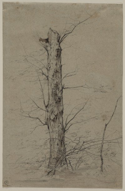 ツリー、c。 1835-45。 作： Ludwig Ferdinand Schnorr von Carolsfeld