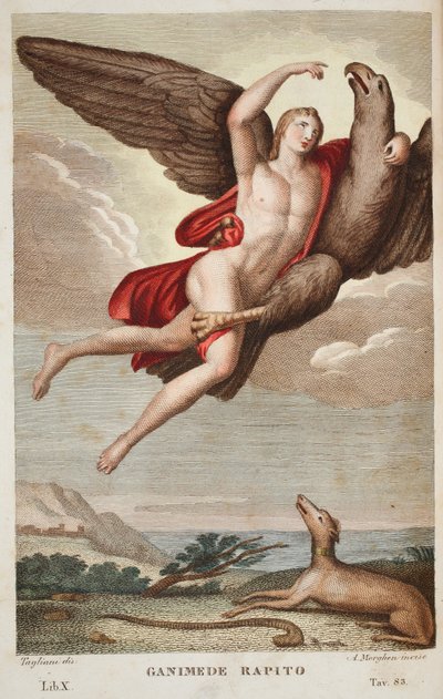 天国またはガニメード・ラピートに持ち込まれたガニメデ、Book X、Ovid&39;s Metamorphoses、フィレンツェ、1832年のイラスト（手彩色の彫刻） 作： Luigi Ademollo