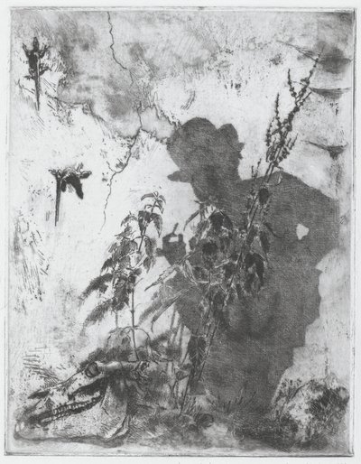 瞑想的な生活 作： Luigi Conconi