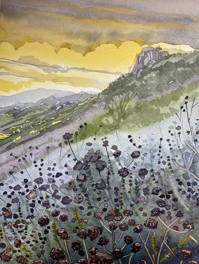 山々の夕日と野の花 作： 