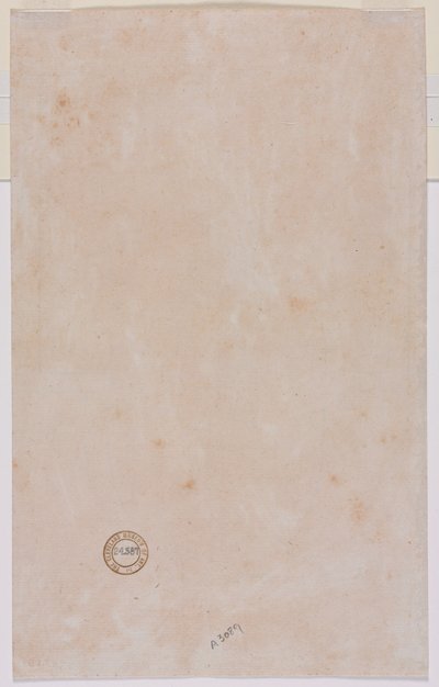 1500年代中頃の建築計画 作： Luzio Romano