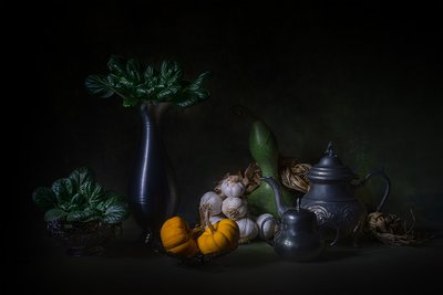  作： Lydia Jacobs
