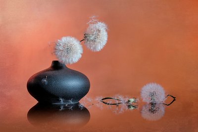 繊細なタンポポの静物画 作： Lydia Jacobs