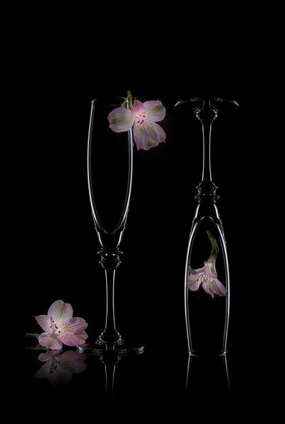 繊細で優雅な花の美しさ 作： Lydia Jacobs