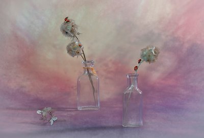 夢のようなてんとう虫の静物画 作： Lydia Jacobs