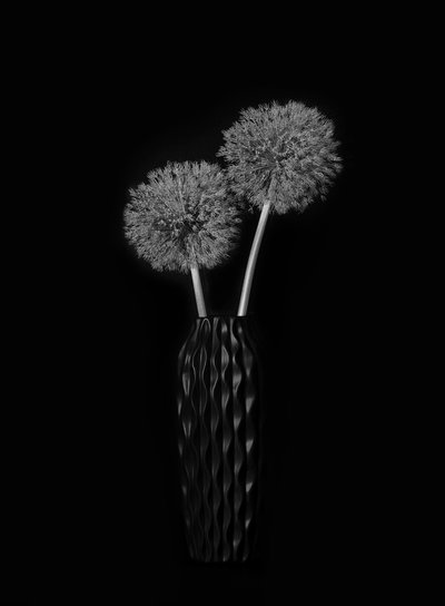 エレガントなタンポポの花瓶 作： Lydia Jacobs