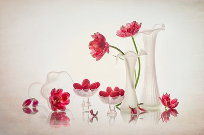 優雅な花の静物画 作： Lydia Jacobs