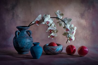 優雅な蘭の静物画 作： Lydia Jacobs