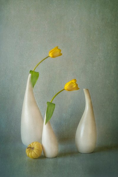 優雅な黄色いチューリップの静物画 作： Lydia Jacobs