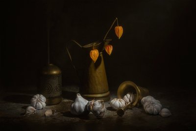  作： Lydia Jacobs
