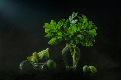 緑豊かな植物の静物画 作： Lydia Jacobs