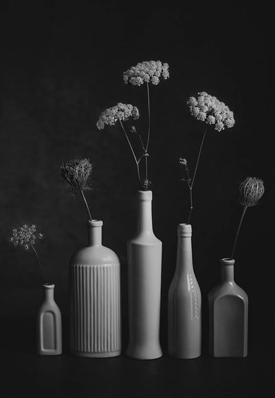 モノクロの植物静物画 作： Lydia Jacobs