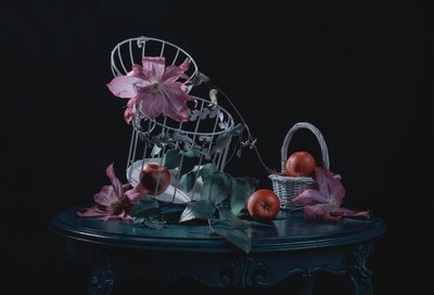  作： Lydia Jacobs