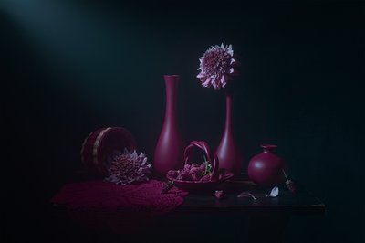 ムーディ・ベリーとダリア 作： Lydia Jacobs