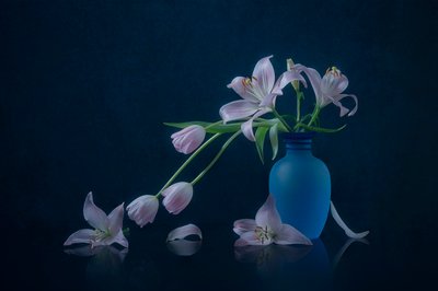 憂いを帯びたユリとチューリップ 作： Lydia Jacobs