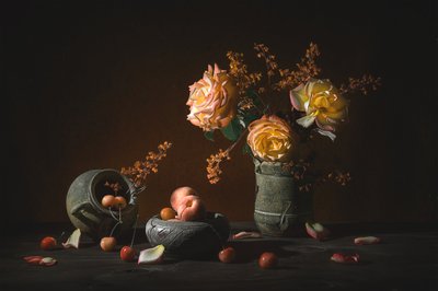  作： Lydia Jacobs