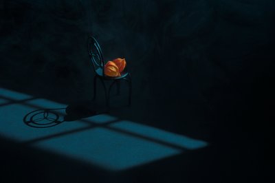オレンジの実の静物画 作： Lydia Jacobs