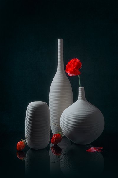 赤いポピーと白い花瓶 作： Lydia Jacobs