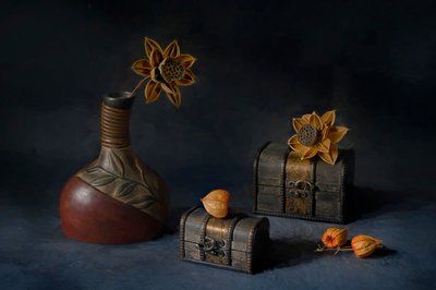 素朴な植物のディスプレイ 作： Lydia Jacobs