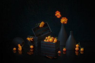 鮮やかな収穫の静物画 作： Lydia Jacobs