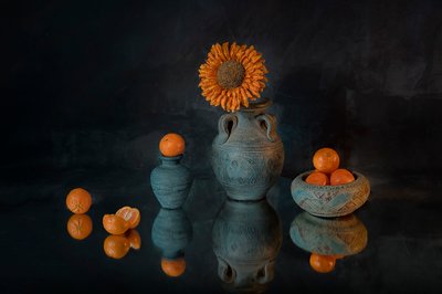 鮮やかなひまわり色のマンダリン 作： Lydia Jacobs