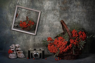  作： Lydia Jacobs