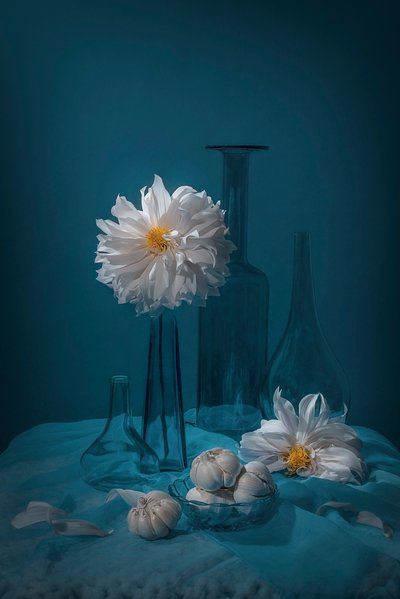 白いダリアの静物画 作： Lydia Jacobs