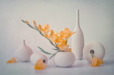 黄色い花が白い花瓶に咲く 作： Lydia Jacobs