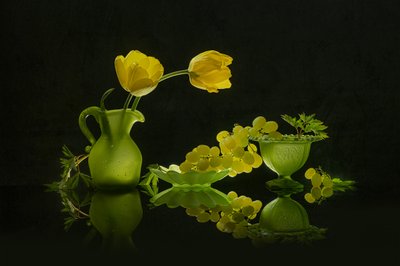 黄色いチューリップと緑のブドウ 作： Lydia Jacobs