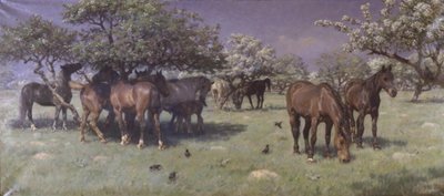 動物園の馬 作： M. Therkildsen