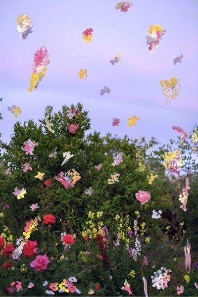 抽象化された花、2019年（アーカイバル顔料プリントにアクリル絵の具） 作： Madeleine Gross