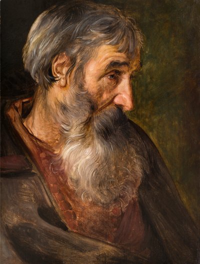 ひげを生やした老人の頭。 作： Maerten Vos de